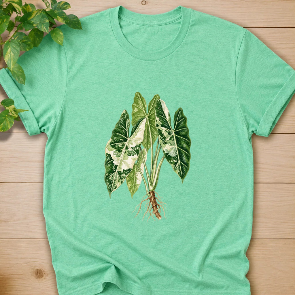 heather irish green