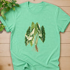 heather irish green
