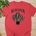 Alocasia Frydek – Elegance in Every Vein Graphic