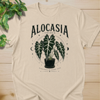 Alocasia Frydek – Elegance in Every Vein Graphic
